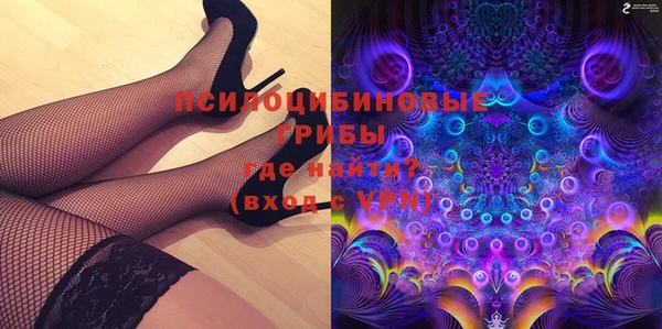 мет Алексин