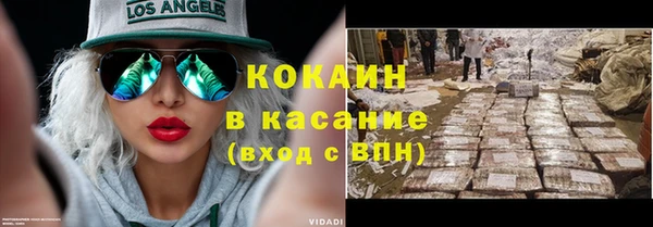 мет Алексин