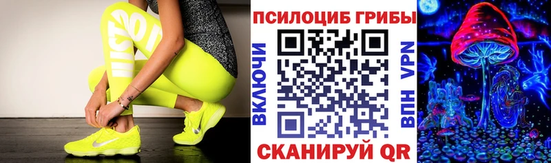 купить  цена  Урай  Галлюциногенные грибы Psilocybe 